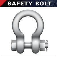 SHACKLE SAFETY BOLT