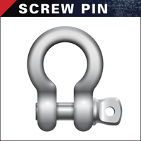 SHACKLE SCREW PIN