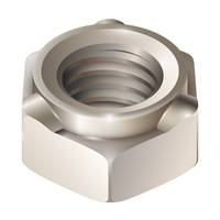 3/8-16 HEX WELD NUT 3 PROJECTION<p>18-8 STAINLESS STEEL</p>