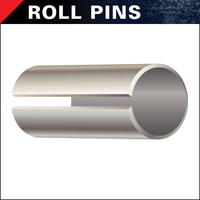 ROLL PINS