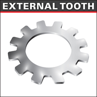 EXTERNAL TOOTH