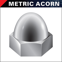 ACORN METRIC