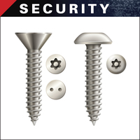 SECURITY SCREWS